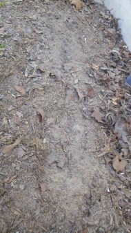 2014-03-25_11-44-34_525