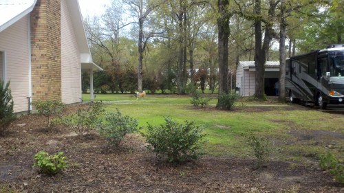 2014-03-29_12-10-54_162