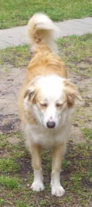 2014-03-29_12-12-03_604