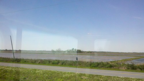 2014-03-29_15-37-53_676