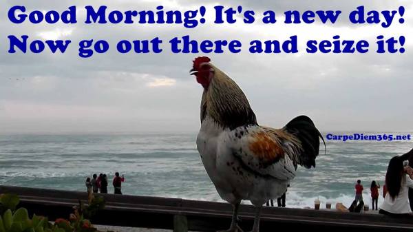 1890581_705949396112334_1288600085_o