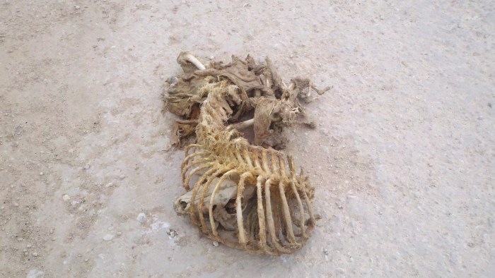 2014-04-01_15-25-53_573