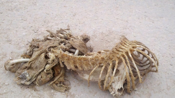 2014-04-01_15-26-25_126