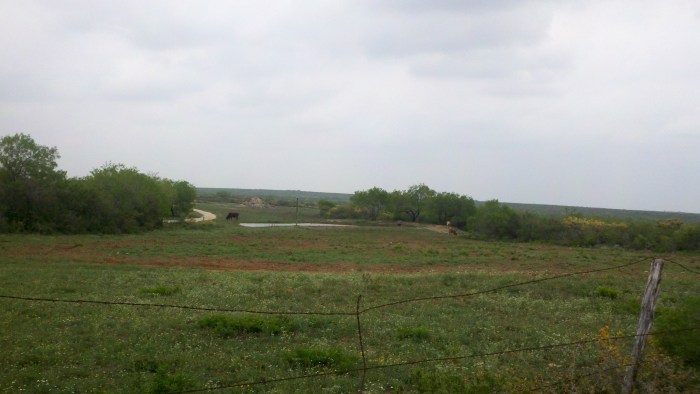 2014-04-03_12-37-58_319