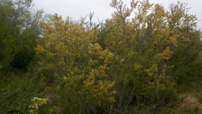 2014-04-03_12-41-49_716