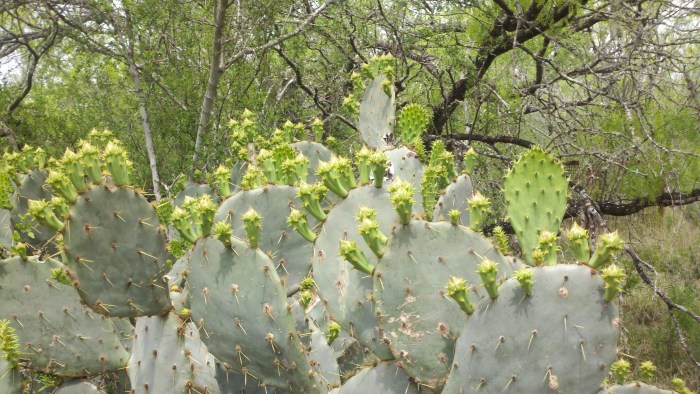 2014-04-03_12-49-55_928