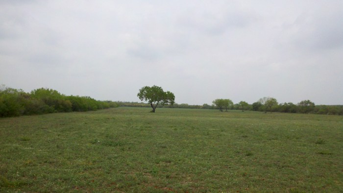 2014-04-03_13-18-07_404