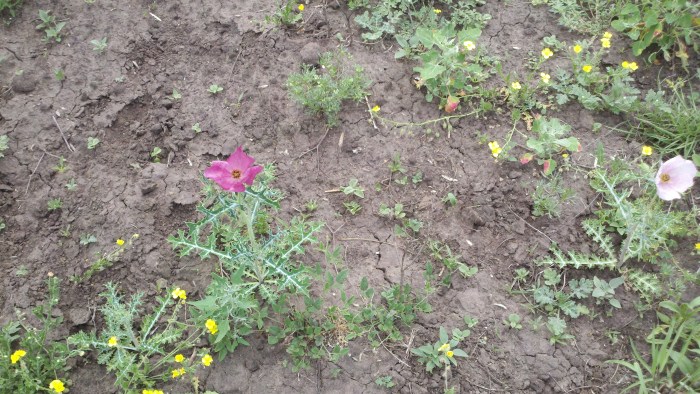 2014-04-03_13-20-22_986