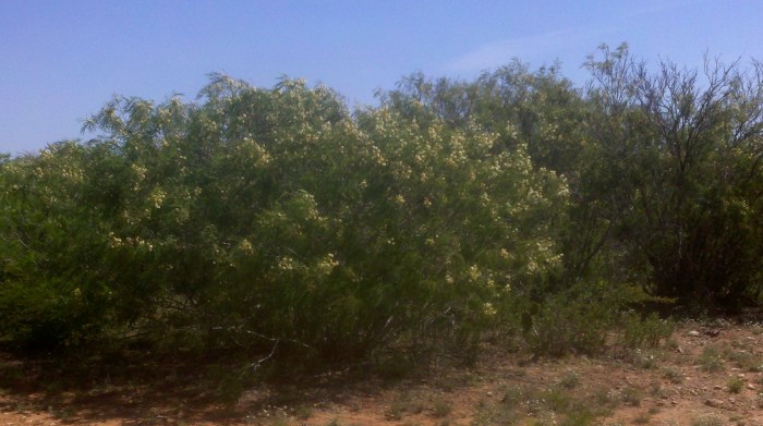 2014-04-09_11-26-06_893