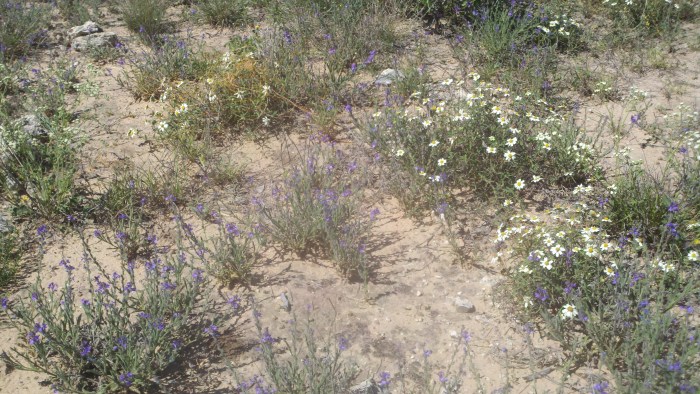 2014-04-09_11-37-55_896