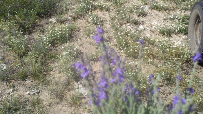 2014-04-09_11-38-46_929