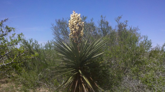 2014-04-09_11-44-14_959