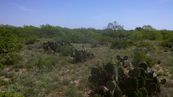 2014-04-09_11-44-25_645