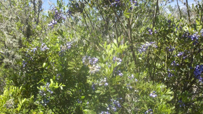 2014-04-09_11-51-03_984