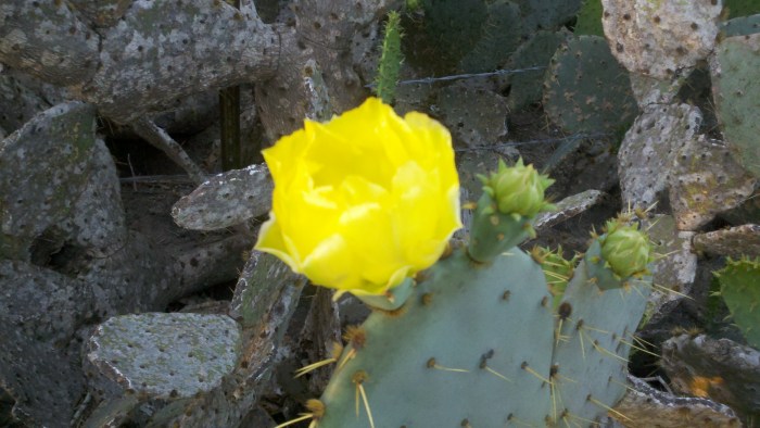 2014-04-14_19-45-51_752