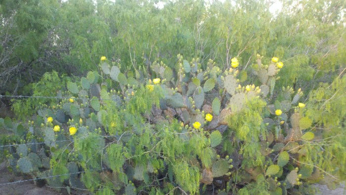 2014-04-14_19-46-07_969