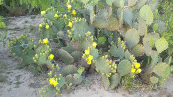 2014-04-14_19-47-54_932