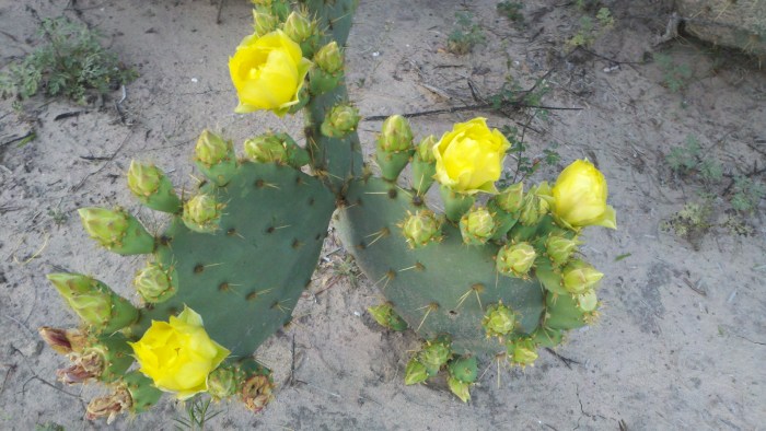 2014-04-14_19-48-32_781