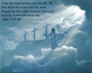 878788f01eaa3df4473fdc061252a064