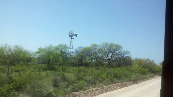 windmill crippled trees