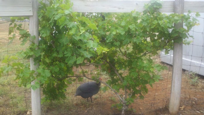 2014-05-09_11-50-05_524