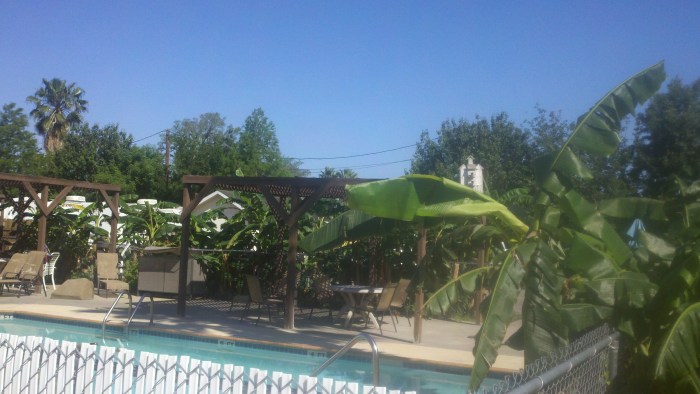 2014-05-15_10-10-38_250