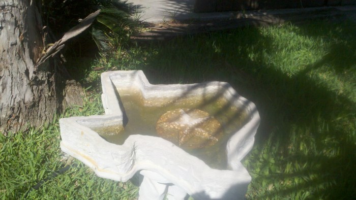 2014-05-15_10-11-26_848