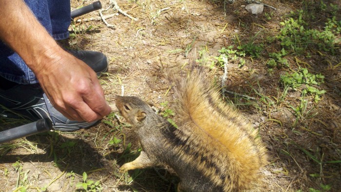 2014-05-18_12-13-46_779