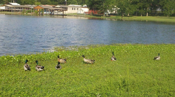 2014-05-22_17-56-18_712