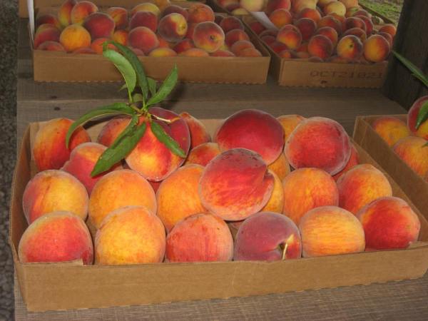 one box peaches