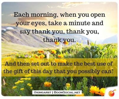 16728_787907554599743_5997883008315077696_n