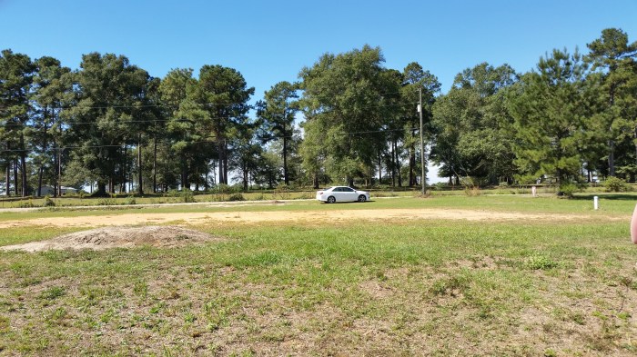 from the back of the land