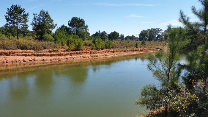 pond behind property