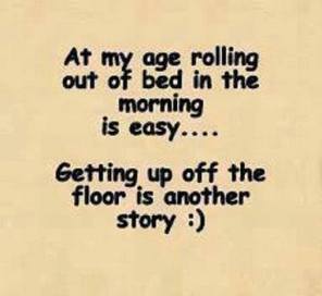 1382905_10200781371392712_575524259_n