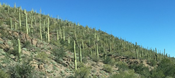 aaa tucson