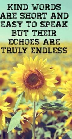 1779670_580289982108001_6143213862082352093_n