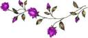 purple flower divider