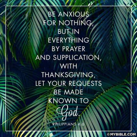 11059652_871743559607904_2953503562687650033_n