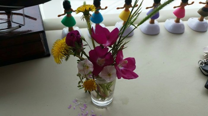 11214181_10101521111836984_1526708311787240038_n