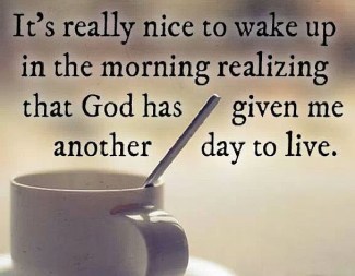 1390626_461713077276289_1339535502_n