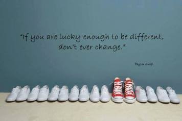 1503328_10151987866081704_458978760_n