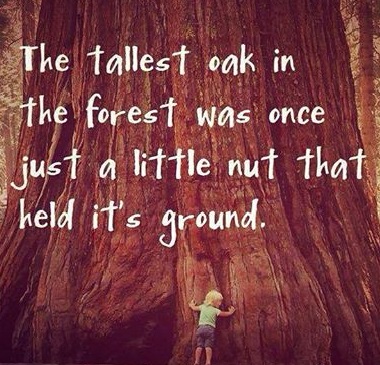 1610767_772414849471661_6821691071225407594_n