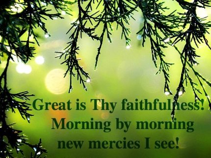 988510_10152636814230806_4412793312884267731_n