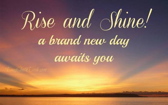 10448807_10152579783948945_2726474839096275761_n