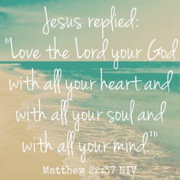 11227051_959951474046089_525122677789100278_n