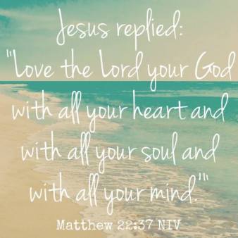 11227051_959951474046089_525122677789100278_n