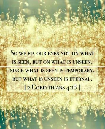 11232354_948532075188029_1121019141798711698_n