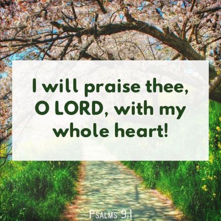 11265312_945932982114605_6241343948543010734_n