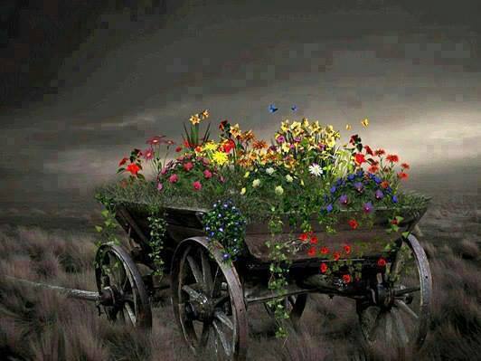 11557_652916588091084_3757973259288634135_n