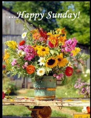 1236501_422437521193484_750384437_n